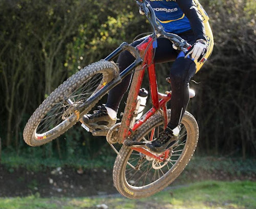 specialized p all mountain