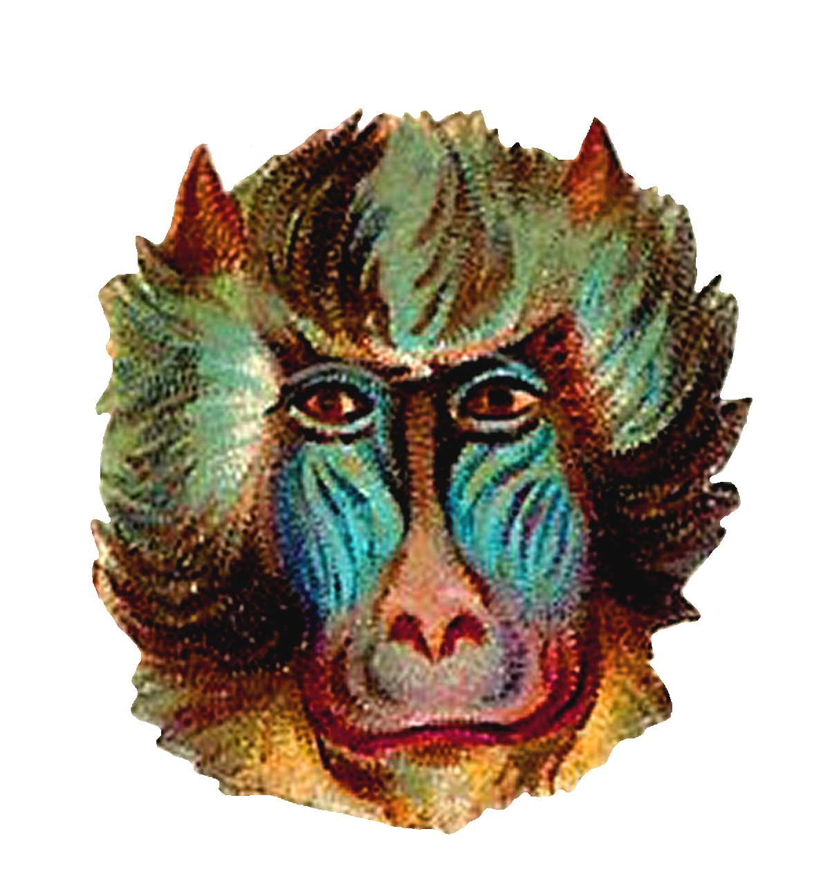 Antique Images Monkey Digital Clip Art Vintage Animal Downloads