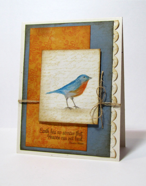 The Bald Dragonfly: Sings a Lullaby