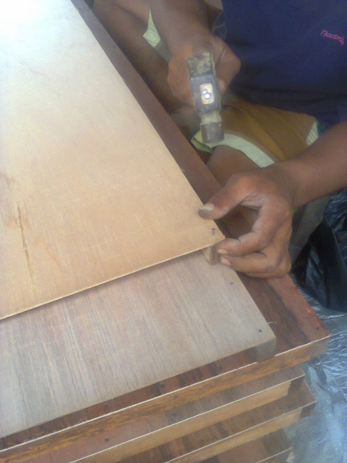 Membuat Kandang Jangkrik | gudang-jangkrik