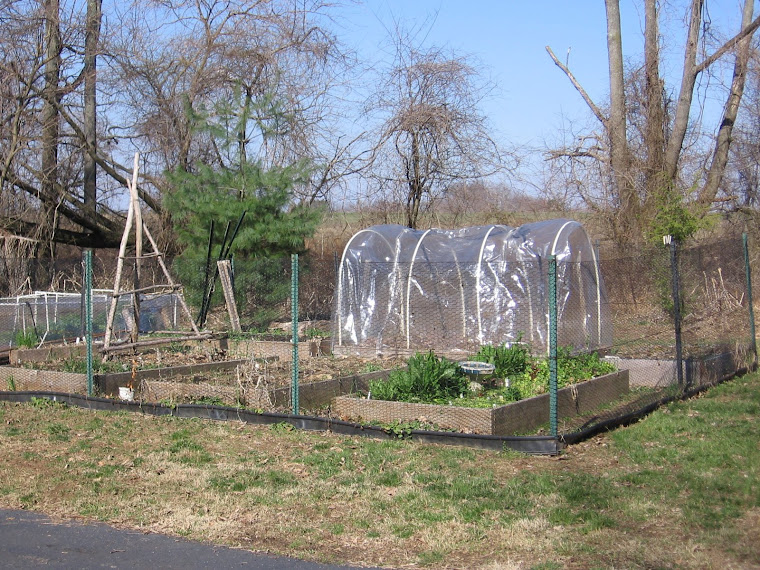 APRIL GARDEN