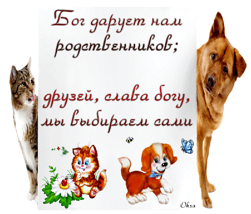 Картинки по запросу гифы пожелания моим виртуальным друзьямдрузьям