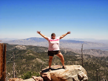 I'm on the Top of Mt Lemmon!