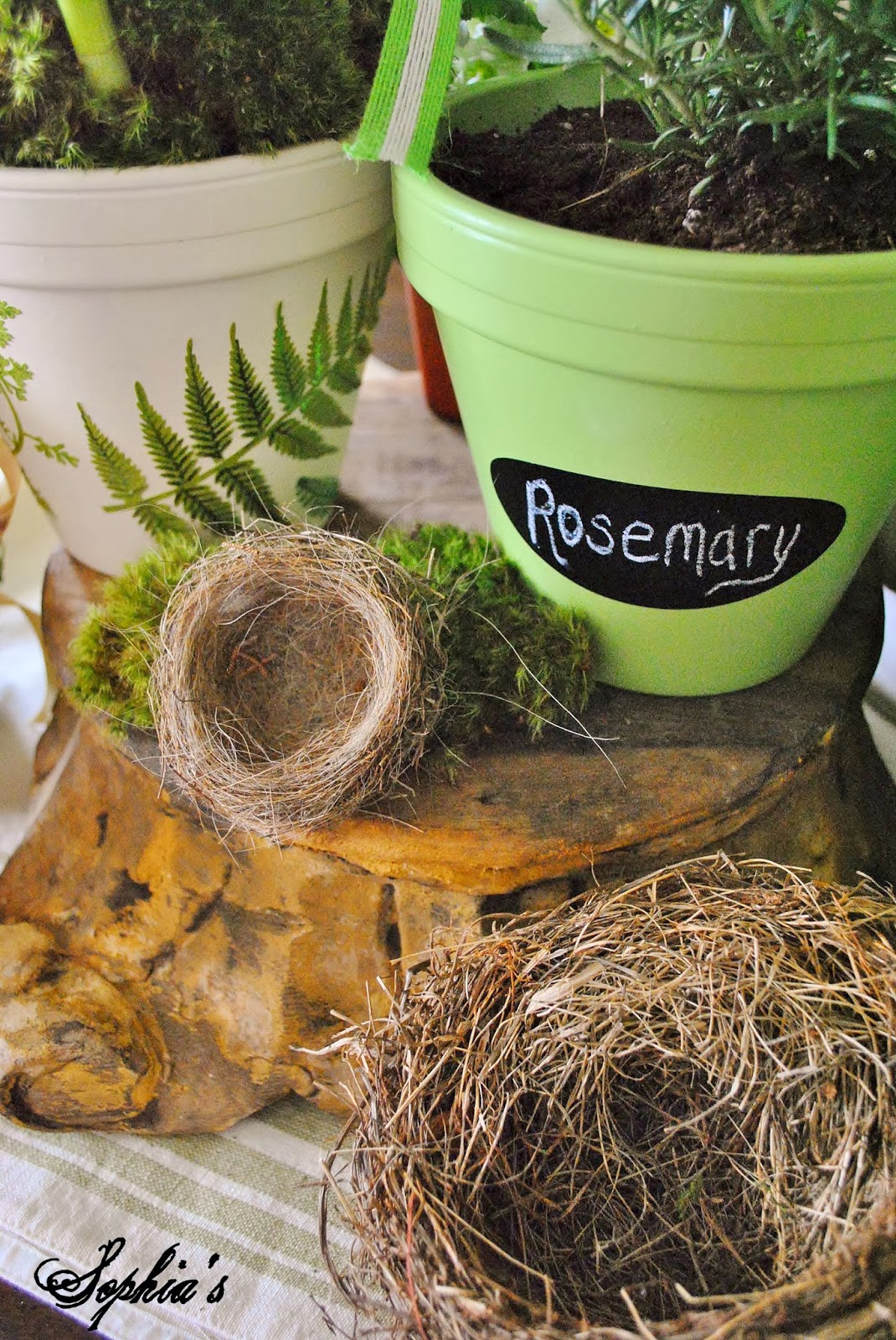 Sophia's DIY Spring Clay Pots & Michaels Pinterest Party