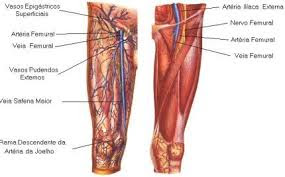  Conheça qual a causa da sua dor nas pernas e veja o melhor tratamento - CANSAÇO E DOR NAS PERNAS - QUAIS AS CAUSAS E COMO TRATAR - - Biguaçu, Palhoça, Antonio Carlos SC, Tijucas, Santo Amaro da Imperatriz, Paulo Lopes SC, Florianópolis, São José SC - Gotas para sinusite Rinite, Jaraguá do Sul SC, Venda de Cone Chinês e Limpeza de Ouvidos, Vico Massagista Quiropraxia Acupuntura Massoterapia Massagem Relaxante Sueca Terapêutica Ventosaterapia Shiatsu Do-In Reflexologia, MASSAGEM PARA DORES NA COLUNA EM SÃO JOSÉ SC - VICO MASSAGISTA - (48) 3094-5746 - MASSOTERAPIA http://clinicamassagemterapeutica.com.br/2017/08/27/massagem-para-dores-na-coluna-em-sao-jose-sc-vico-massagista-massoterapia-quiropraxia-acupuntura/ AS DORES NA COLUNA, CAUSAS E ORIGENS Sentir dores nas costas, de vez em quando, é muito comum, ainda mais para quem trabalha sentado por muitas horas no dia. A coluna vertebral ou coluna dorsal é uma das maiores partes do corpo humano, pois ela começa no pescoço e vai até o Cóccix. Essa região pode sofrer lesões e dores constantes causadas por estresse, cansaço, esforço em excesso, tais como exercícios, longas jornadas de trabalho, carregar pesos como mochilas e bolsas, e má postura no dia a dia. Uma forma de resolver problemas de dores na coluna que causam dores nas costas e no pescoço, uma boa opção é fazer massagens. As massagens para coluna podem ser de diversos tipos (Massagem Terapêutica, Massoterapia, Reflexologia, Quiropraxia etc.) para resolver vários tipos de problemas e desconfortos.