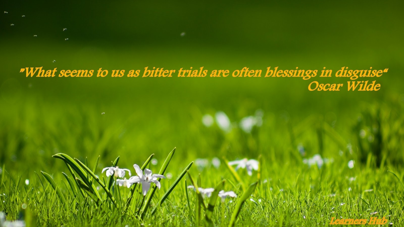 All good quotes: BLESSINGS