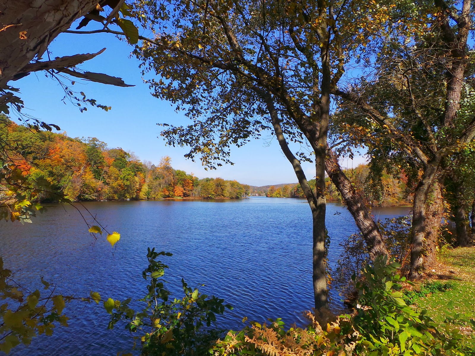 New Jersey and You Perfect Together, Liberty and