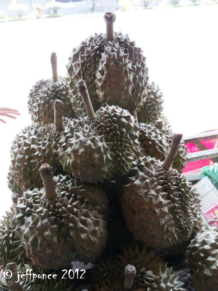 Bisayang Manlalakbay around the Philippines Cheapest Fruits at