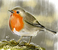 Robin from Bird-of-the-day by ArtMagenta.com