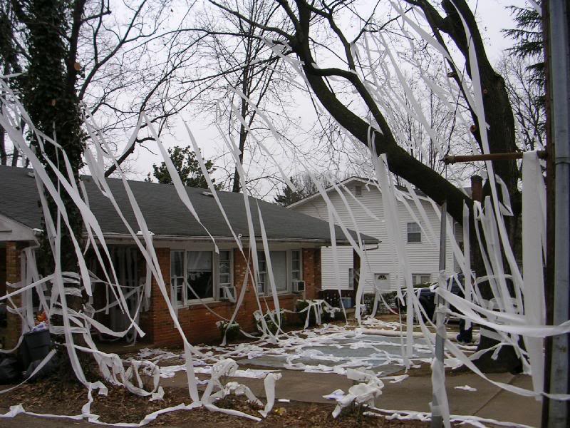 Astounding Origin Of Toilet Papering Houses Images - Exterior ideas ... Astounding Origin Of Toilet Papering Houses Images - Exterior ideas ...