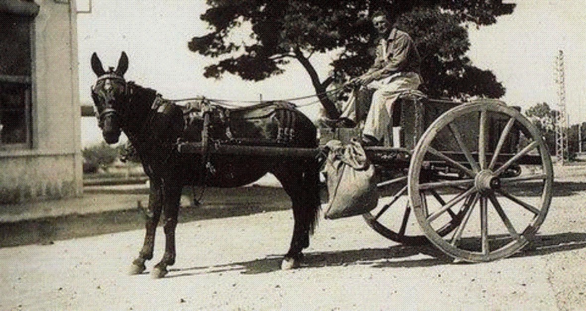 Κεφαλονίτης Όνος: ΑΡΑΜΠΑΣ ΠΕΡΝΑ, ΣΚΟΝΗ ΓΙΝΕΤΑΙ