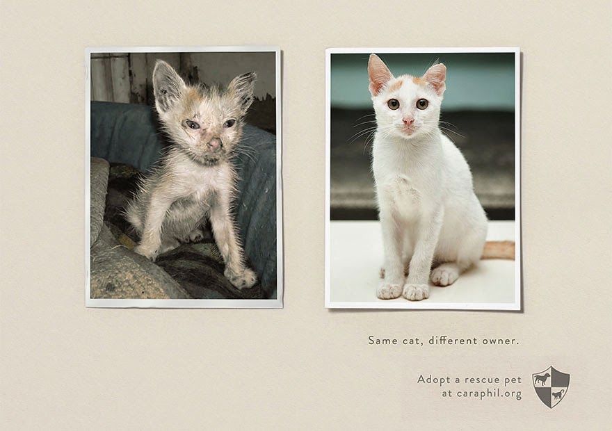 Same Pet, Different Owner. Adopt A Rescue Pet - 33 Powerful Animal Ad Campaigns That Tell The Uncomfortable Truth Same Pet, Different Owner. Adopt A Rescue Pet - 33 Powerful Animal Ad Campaigns That Tell The Uncomfortable Truth