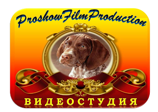 Cтудия ProshowFilmProduction