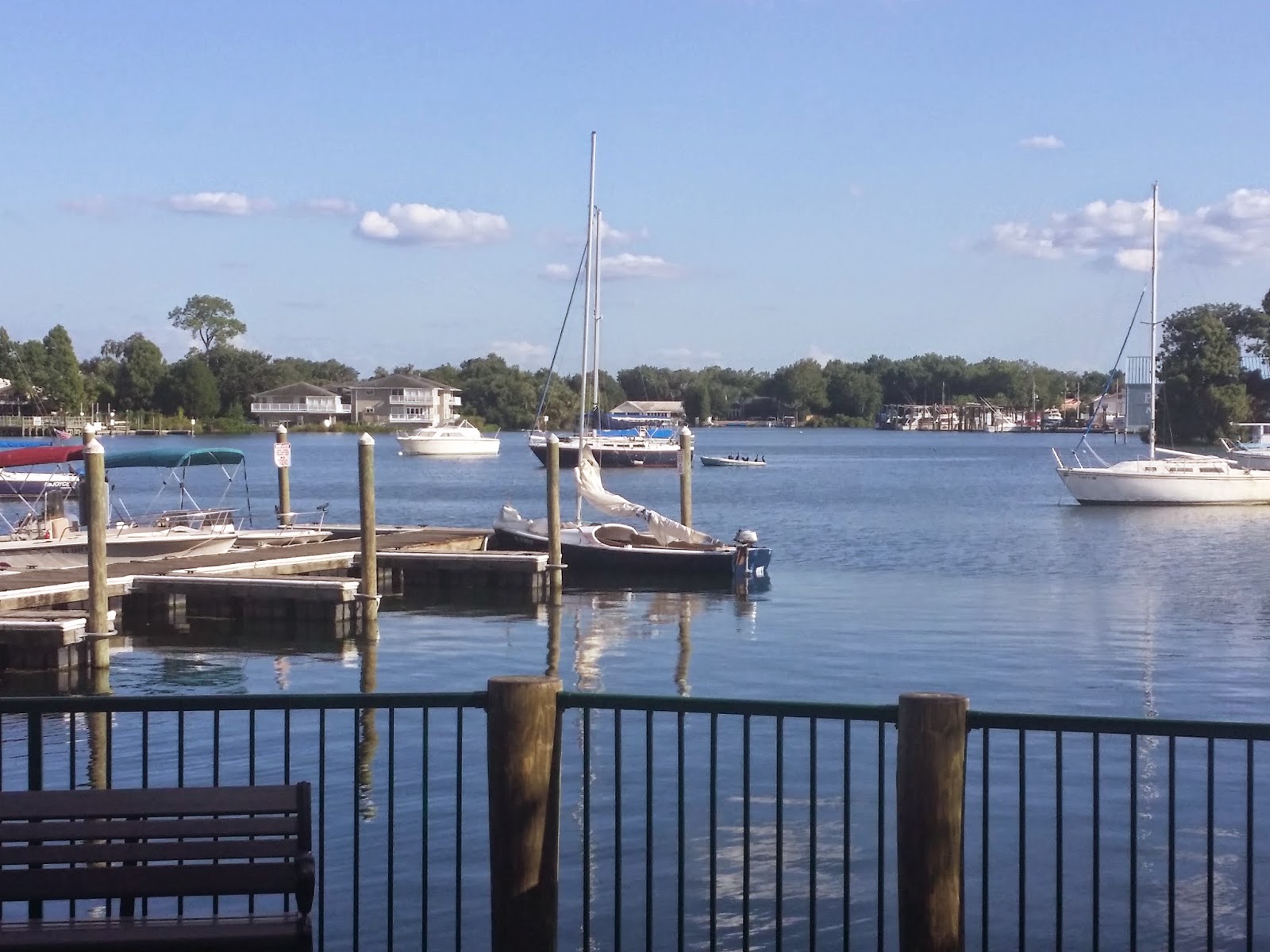 The Kasey Nesselrotte Blog Sailing on King's Bay, Crystal River, FL