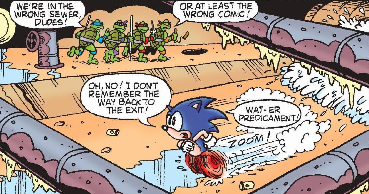 TMNT Entity: Sonic the Hedgehog #10