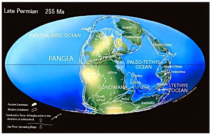 Report From The Florida Zone The Brunswick Magnetic Anomaly