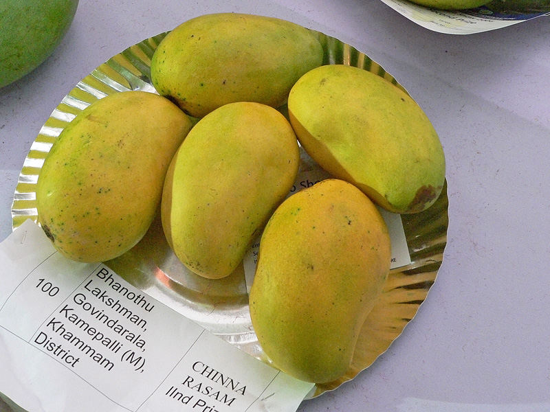 Smart Life World Hyderabad Mango Competition