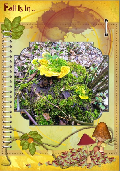 Oct.2016 Greetingscard - Fall is in ... small page