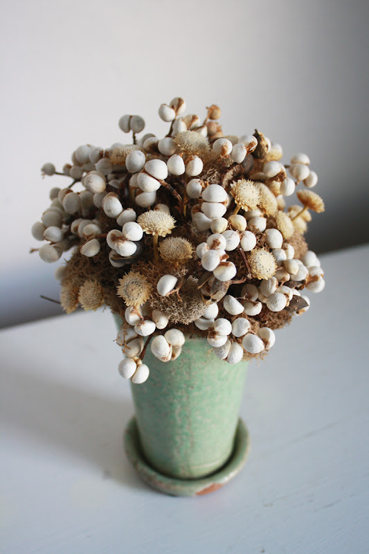 flores del sol new in shop tallow berries