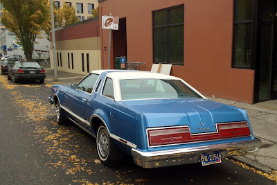 1978 ford thunderbird green 1978 ford thunderbird green