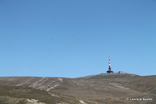 Releul Costila