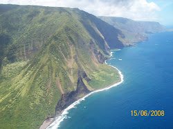 The View from Inside a Helicopter