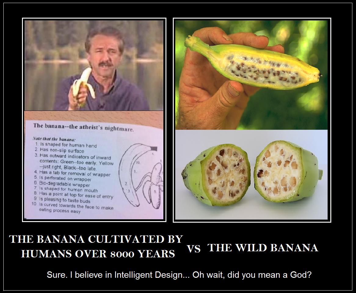 Atheist worst nightmare 04 picture