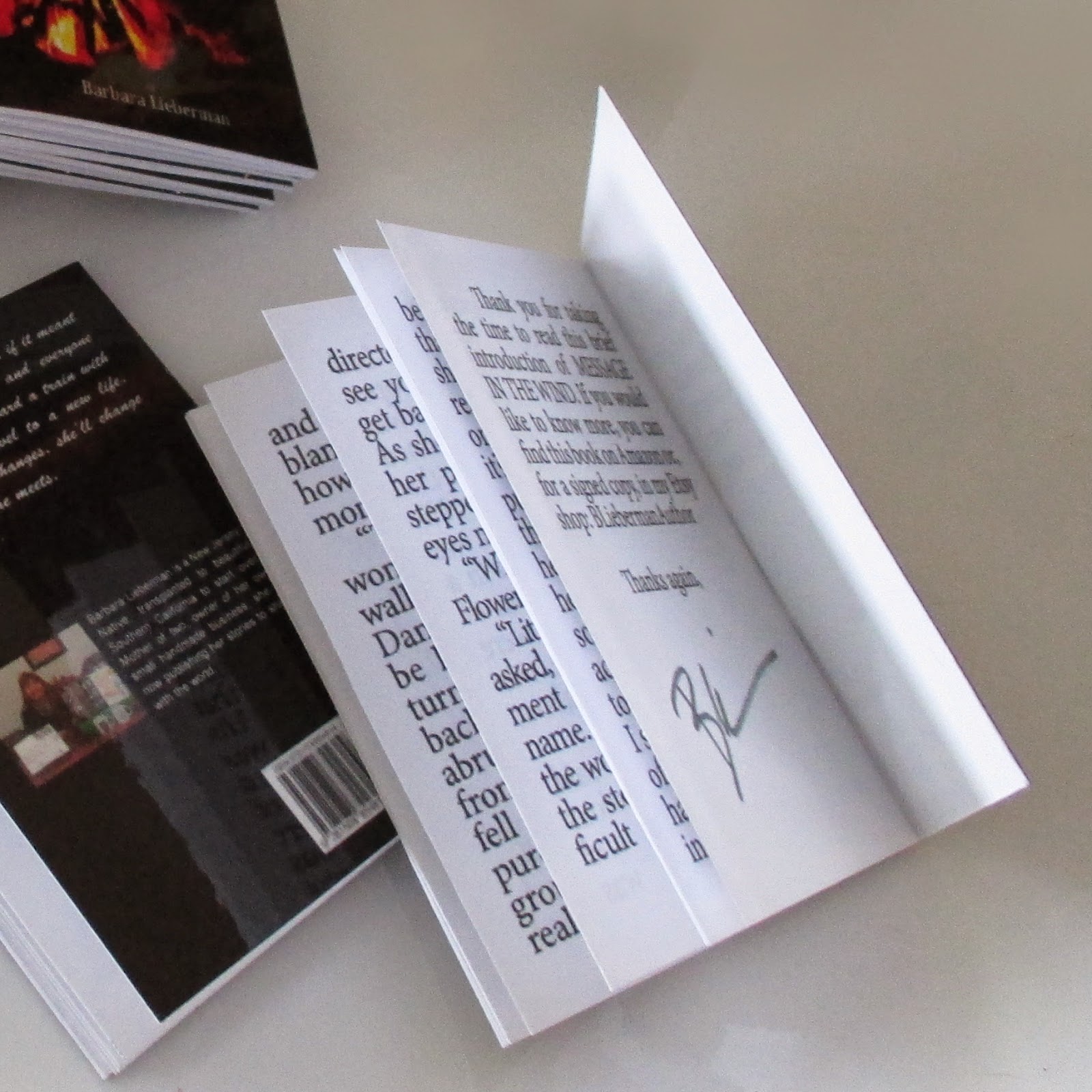 Artistry for Authors Mini Booklets Author Swag