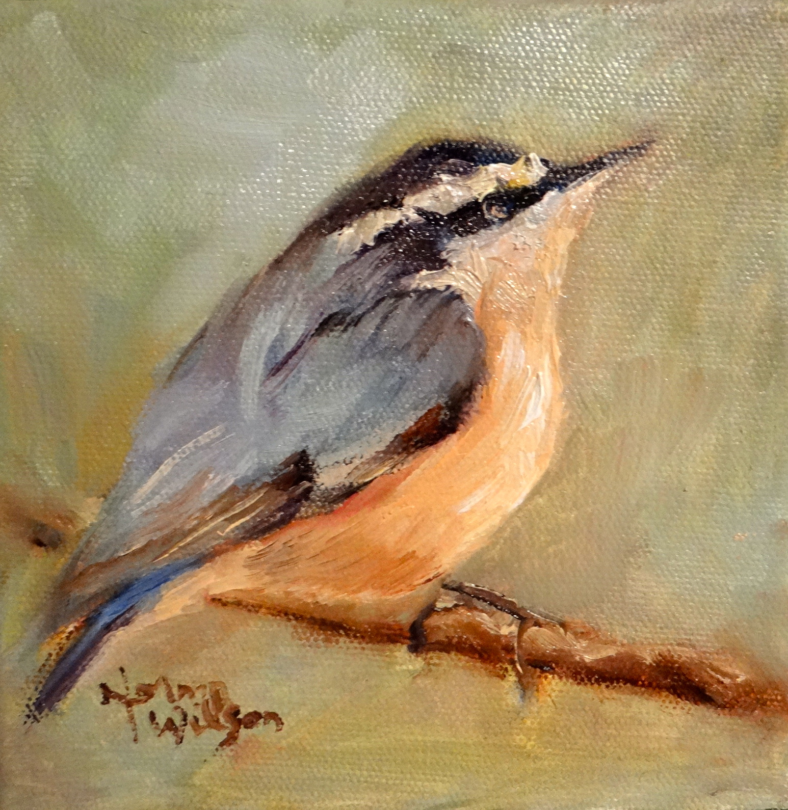Norma Wilson Art Wildlife Nuthatch Bird Oil Painting Art