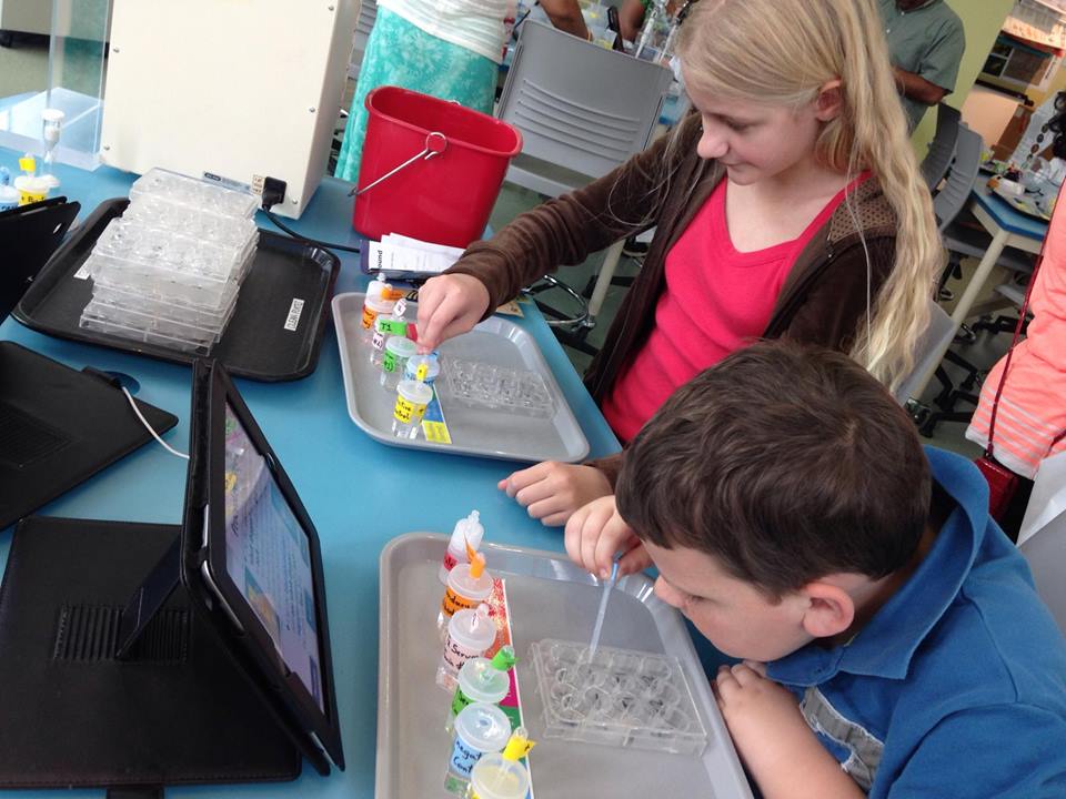 Trips 'n Toys Nature Research Center Raleigh, NC