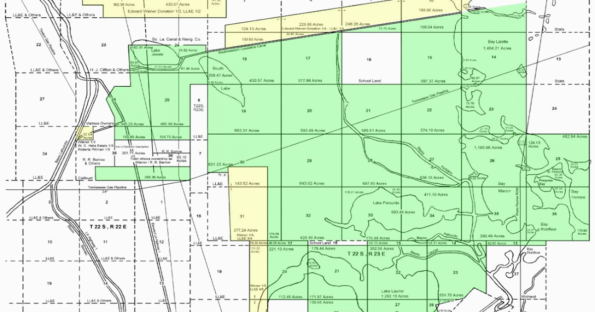 American Zombie The Wisner Trust Grants get doled out along with a