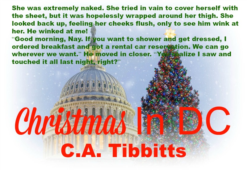 JB's Book Obsession Blog Tour Christmas in DC by C.A. Tibbitts