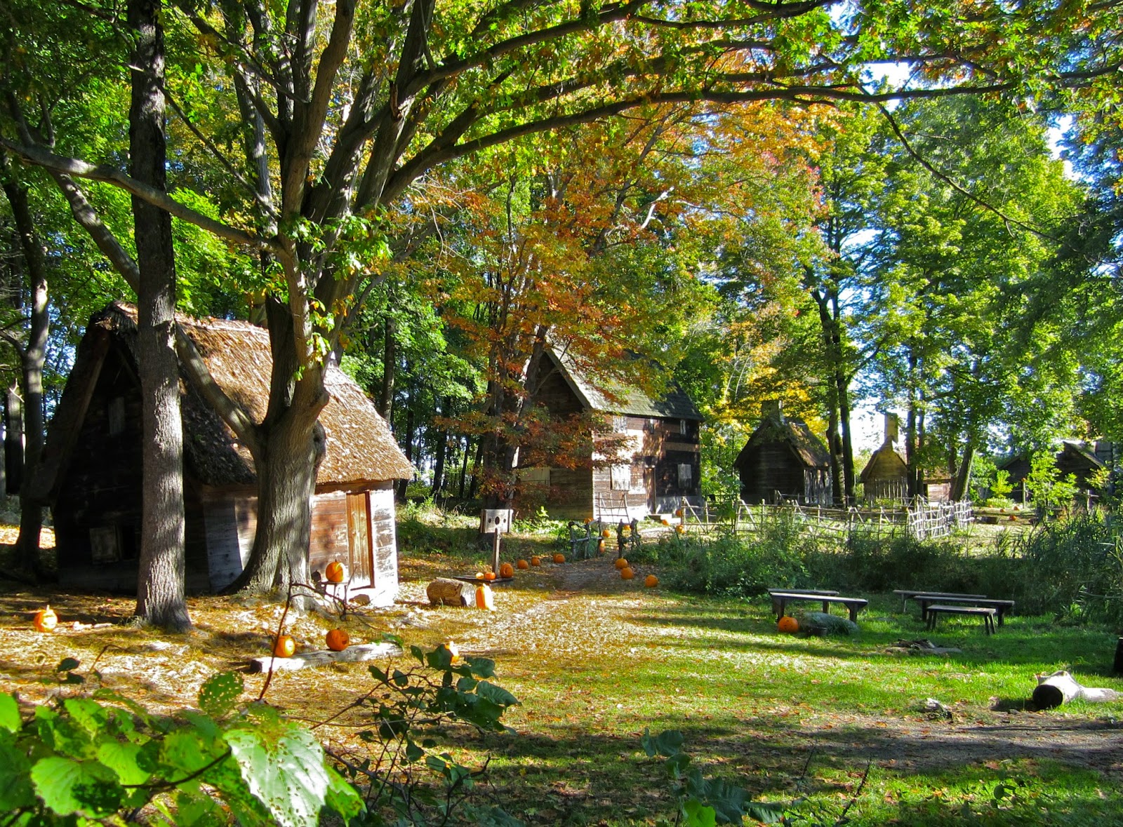 The Lazy Peacock New England Trip