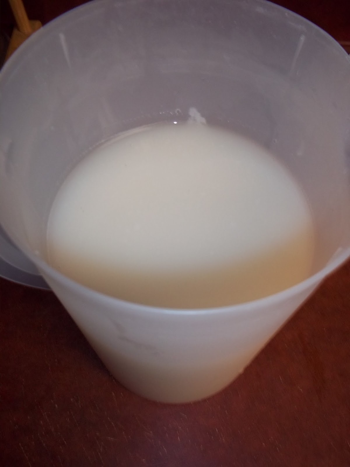 The Daily Smash Horchata ( Mexican rice milk)