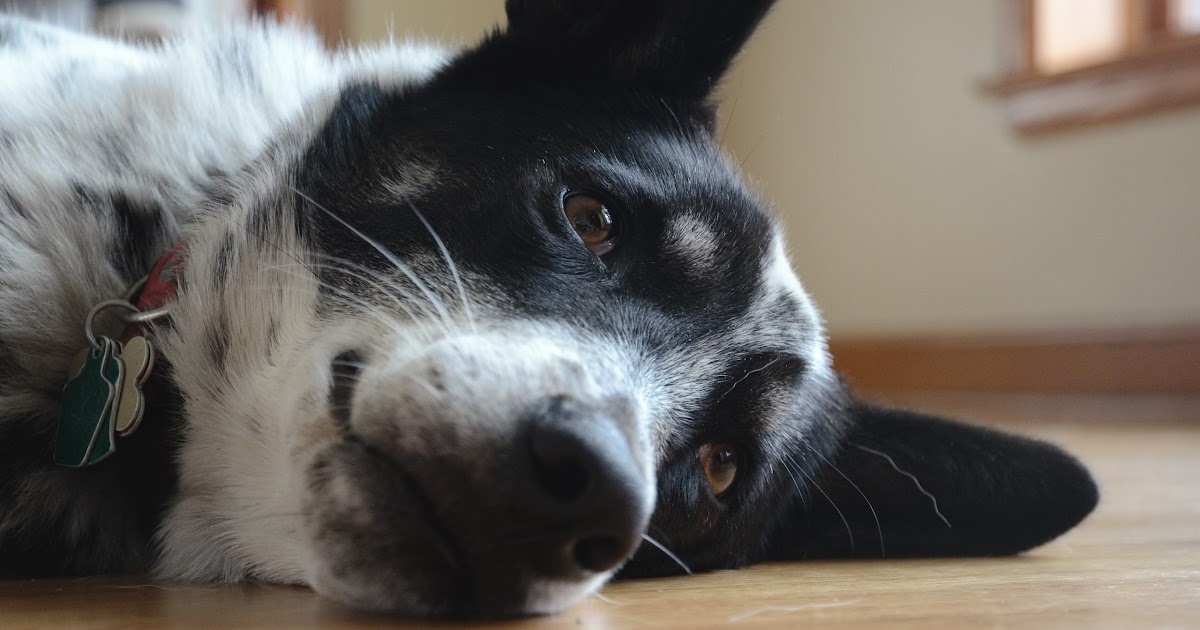 Winter Hiking Wisconsin OUTDOOR EXPERIMENT