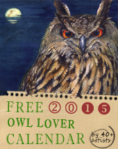 Owl Lover 2015 Calendar