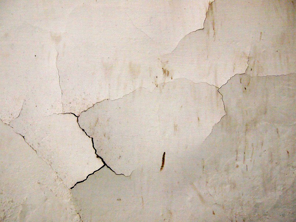 6 Penyebab Utama Cat Mudah Terkelupas Mitra Arsitek Official site