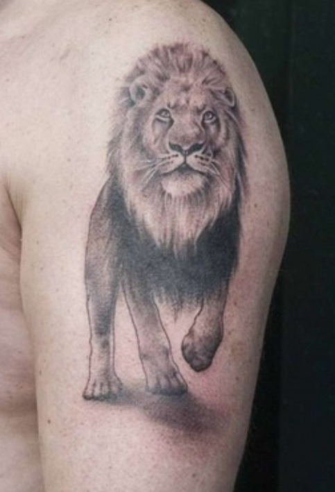 amazing tattoo world realist 3d lions tattoos on the arm amazing tattoo world realist 3d lions tattoos on the arm