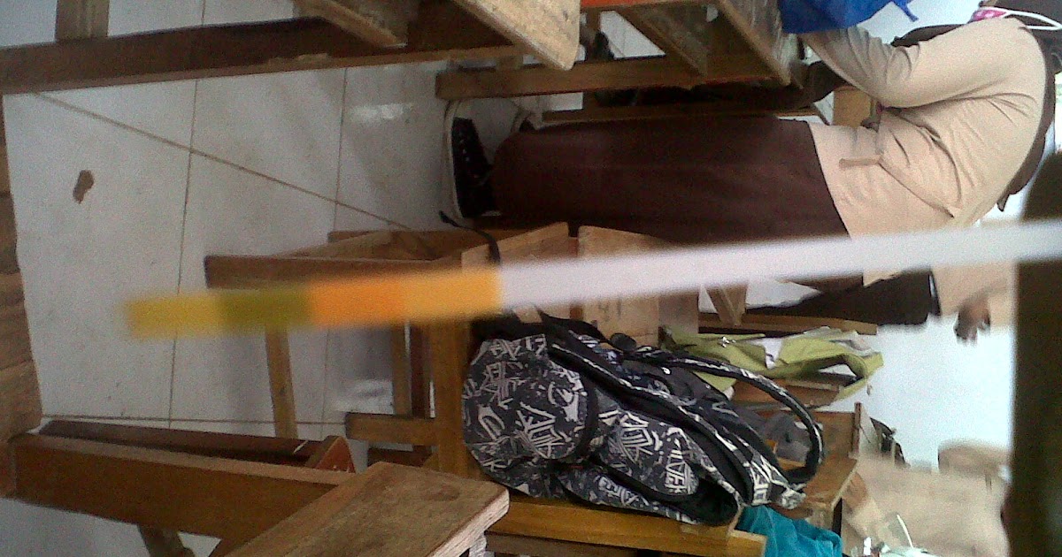 Felis silvestris catus