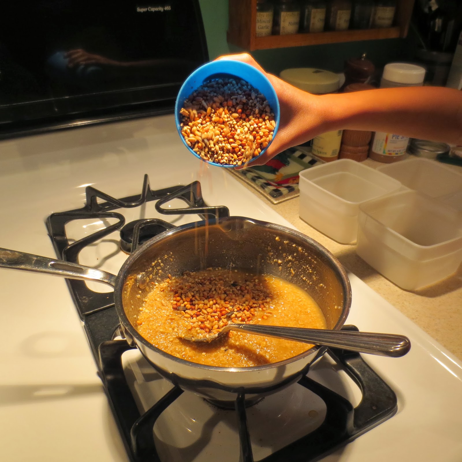 Make Bird Seed Blocks at Home