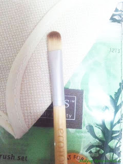 Ecotools Concealer Brush Review
