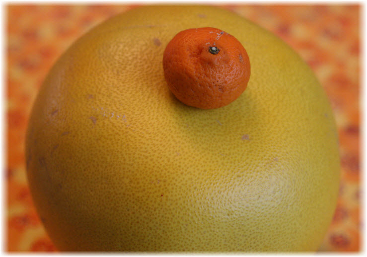 Steph's Cup of Tea Pomelo Marmalade