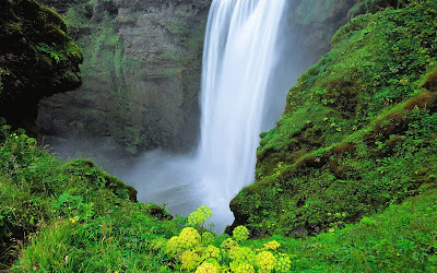 Wallpaper HD of NatureWallpaper Background Wallpaper Background