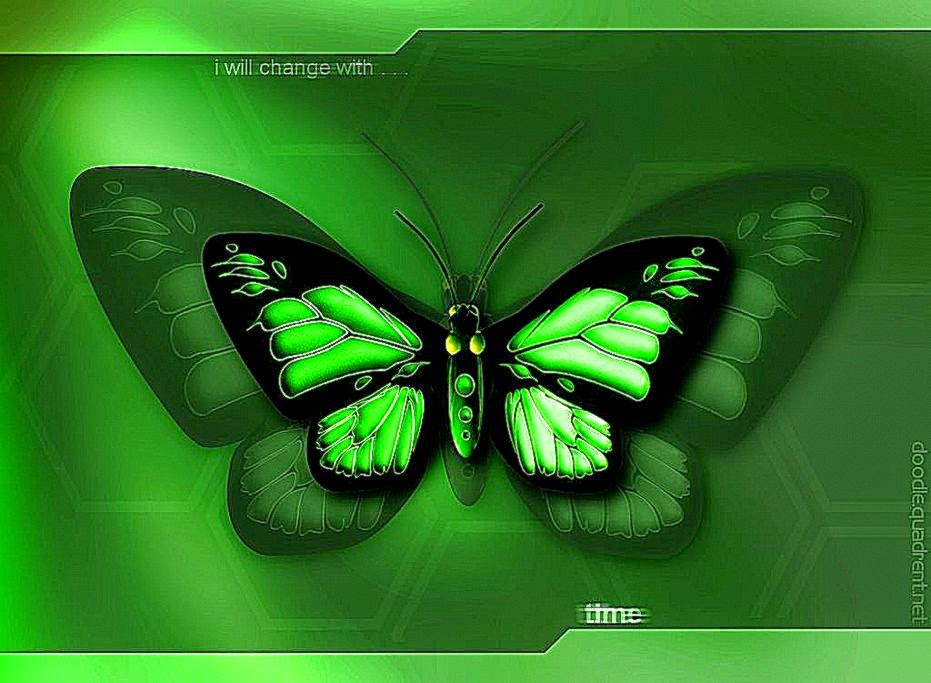 Download wallpaper 3D Butterfly Download wallpaper 3D Butterfly