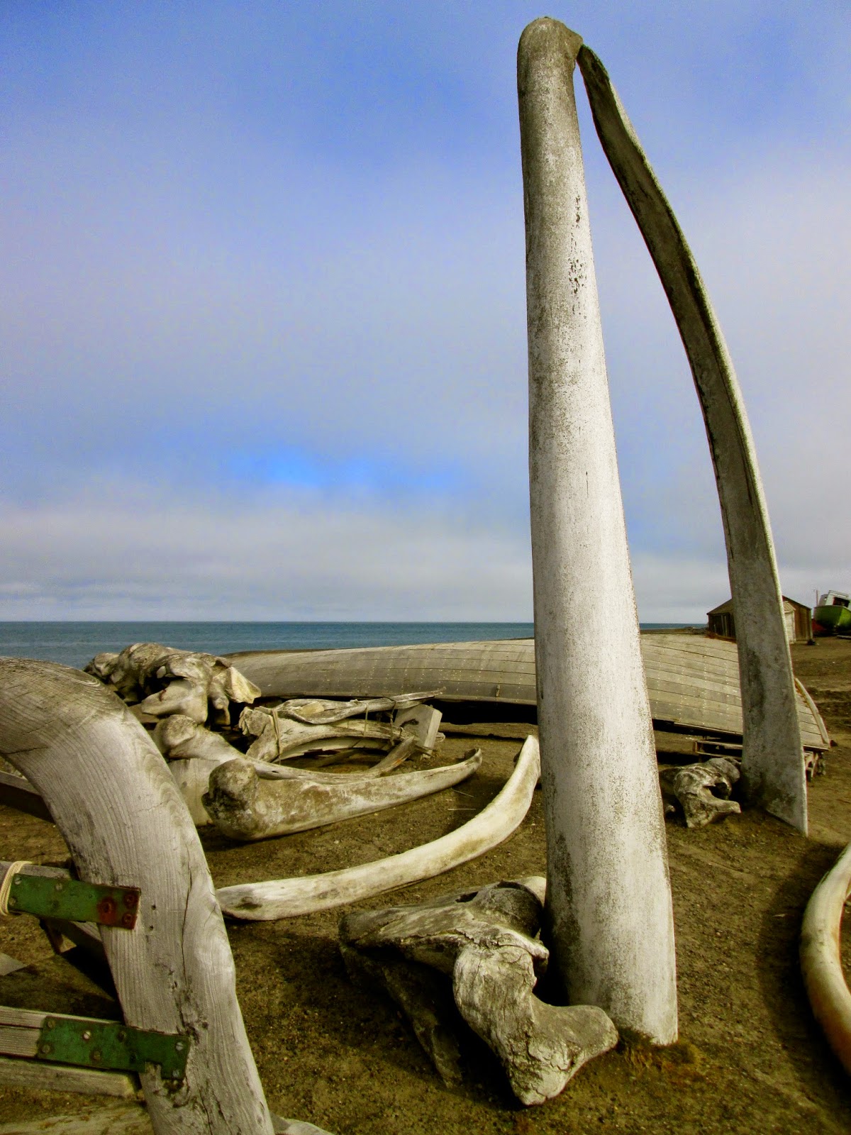 Susan and Mattthe big adventure Barrow, Alaska