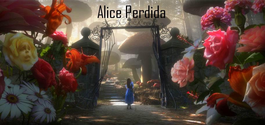 Alice Perdida