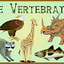 Hewan Vertebrata thumbnail