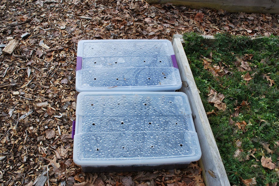 Just the Right Size Winter Sowing