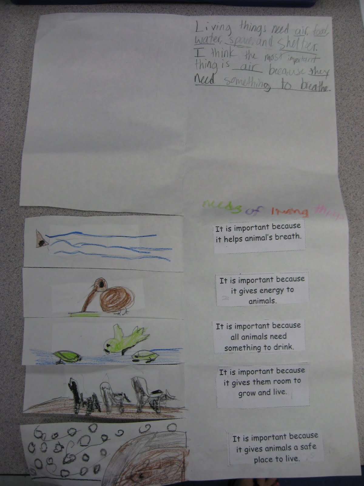 Habitats Projects For 2Nd Grade at Ronald Tidwell blog