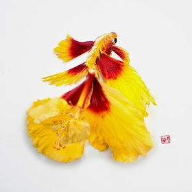 12-Lim-Zhi-Wei-Limzy-Paintings-using-Flower-Petals-www-designstack-co